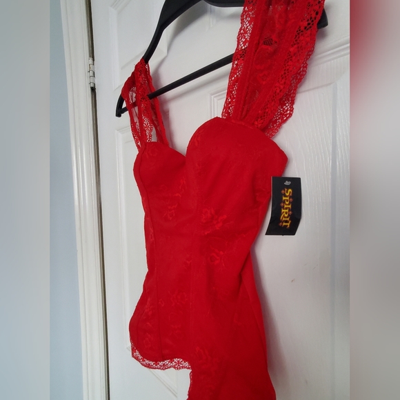 Lace Bustier Corset Top - Picture 4 of 9